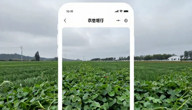 持续优化产品中的流程误区与实际环节分析
